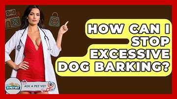 How Can I Stop Excessive Dog Barking? - Ask A Pet Vet