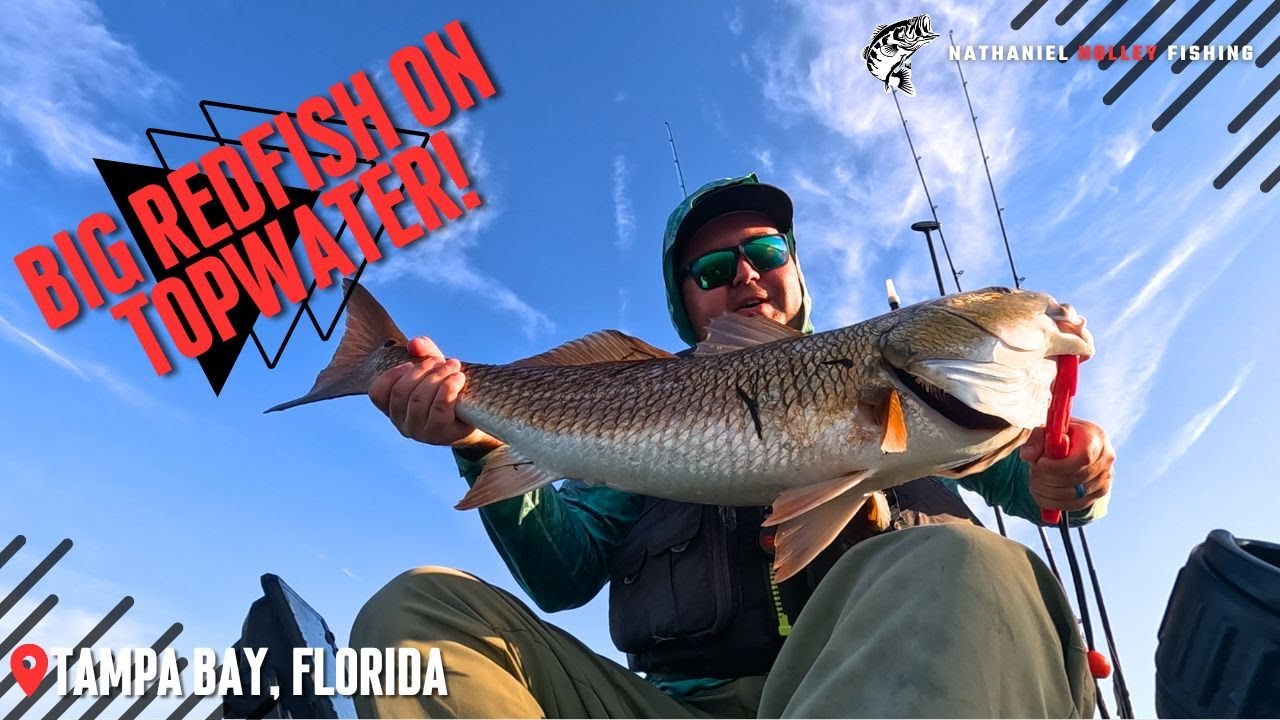 Biggest Fish in My Kayak So Far! Kayak Fishing Tampa Bay YouTube