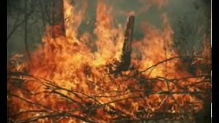 Ekologiya Və Təbii Sərvətlər Nazirliyitəbiəti Qoruyaq