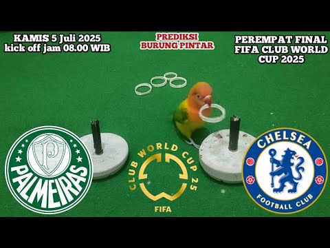 jangkar77 x agendunia55 - Palmeiras vs Chelsea || perempat final FIFA club world cup 2025