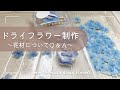 ドライフラワーの作り方は３つ！～花材について語ってます～/ハンドメイド作家/レジン作家/２液性レジン/紫陽花/How to make dried flowers