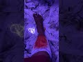Live highlight