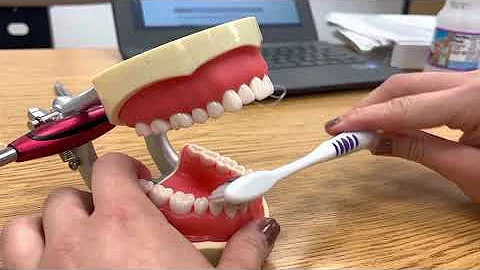 bellas brushing and flossing