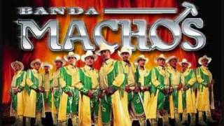 banda machos besando borrachos chords