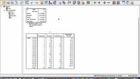 Descriptive Statistics in SPSS
