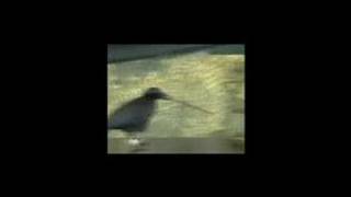 Crow uses a metatool