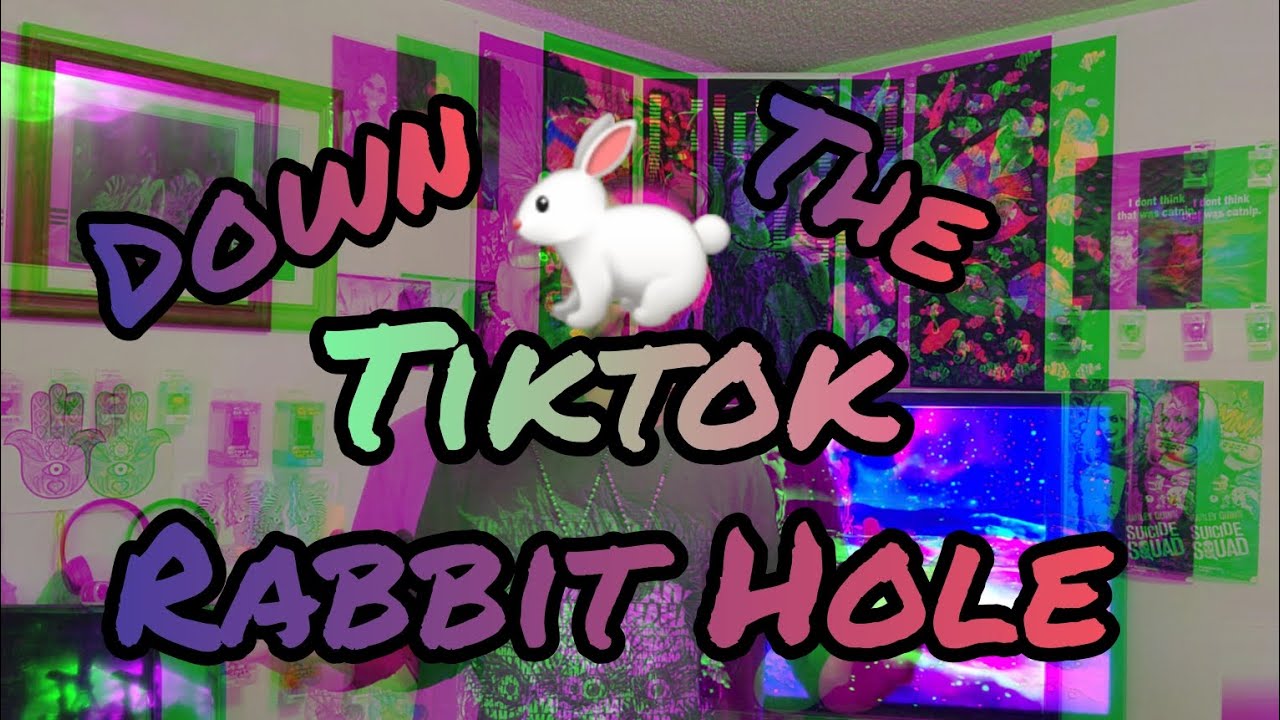Down The TikTok Rabbit Hole 9 YouTube