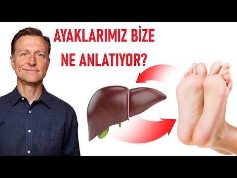 Dr. Eric Berg - Türkçe Kanalı