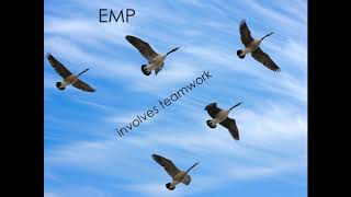 Presentations   CRAP Principles   Repetition