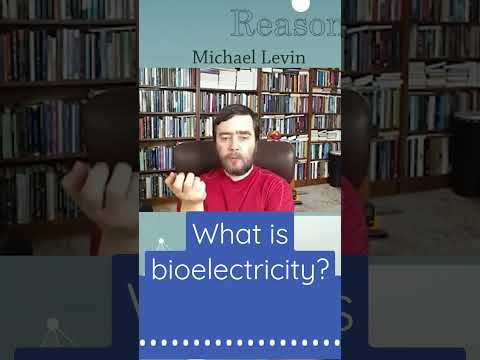 Βίντεο: Τι είναι ο βιοηλεκτρισμός στη βιολογία;