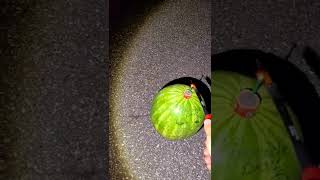 The Firecracker  vs. Watermelon 🍉! 🔥🔥🔥