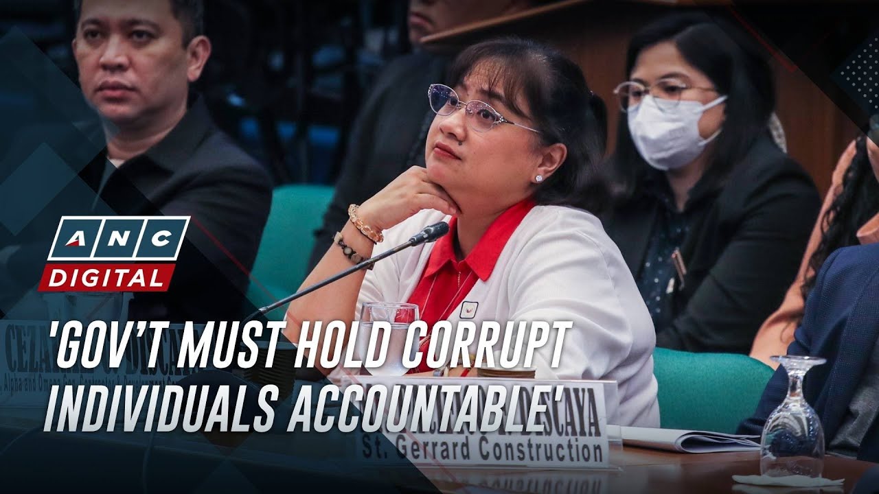 Economist: Investors to return if gov't acts on corruption scandal | ANC