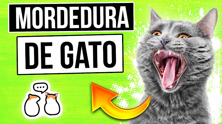 ¿Qué debes hacer cuando te muerde un gato? [Supervivencia]