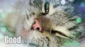 Music visualizer Melocakes