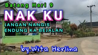 Lagu gitar tunggal Batang hari sembilan \