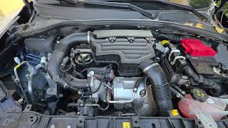 Player Profile Fiat Tipo 1.0 firefly Cold Start