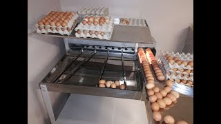 Easy Sort Egg grading machine ES300