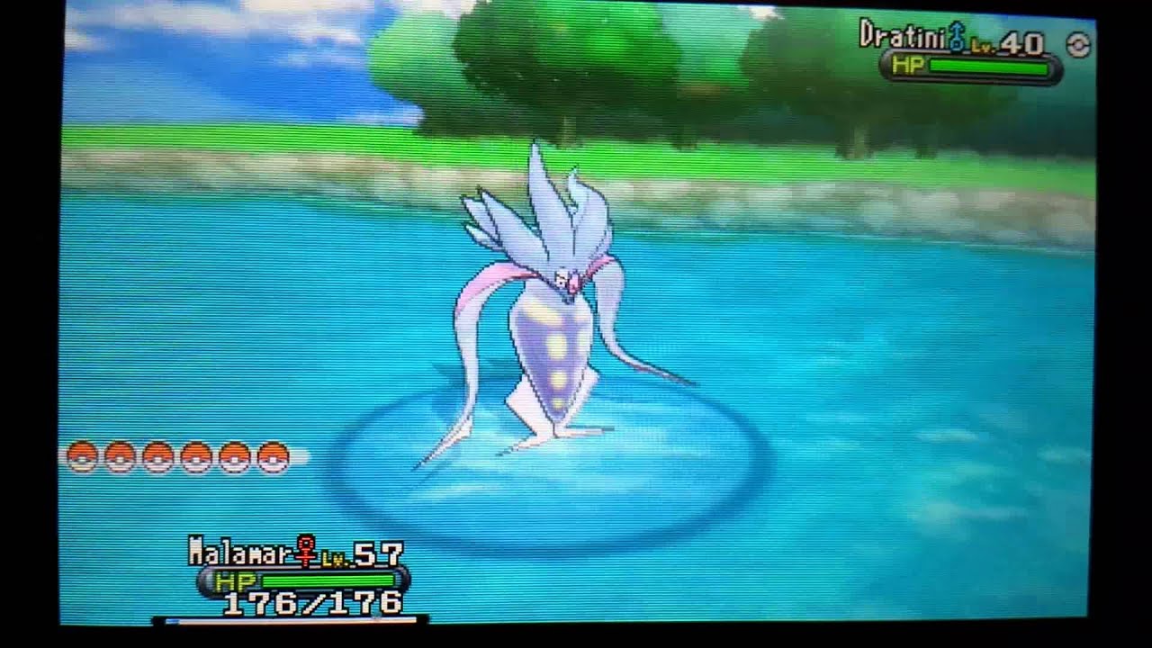 Pokemon X and Y Fishing chain Dratini (56)