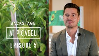 Backstage at Picadeli