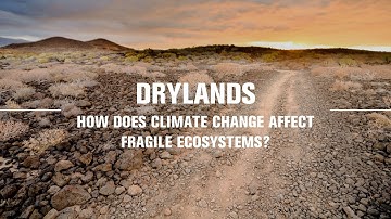 How does climate change affect fragile ecosystems?
