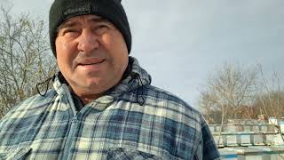 Download Lagu 817.Fuga cu turtele!!! Linistea stuparului!!! MP3