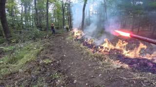 Burn Ignition 2014