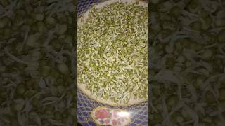 Amazing benefits of sprouts | Health Wealth &amp; Lifestyle #helthbenefits #healthadvice #sprout #facts