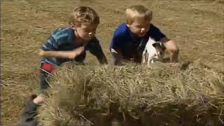 jamies thinking time series 1 episode 49 haymaking