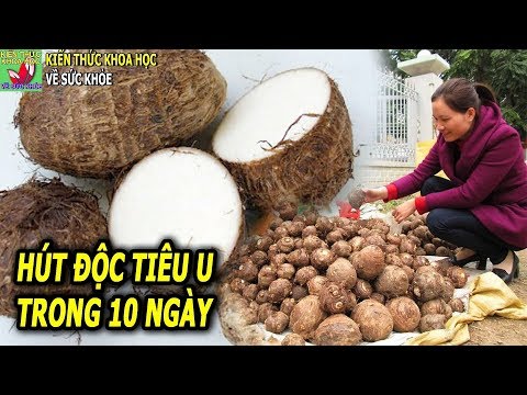 Video: Khối U Tế Bào Mast ở Mèo Và Chó - Điều Trị Khối U Tế Bào Mast ở Vật Nuôi