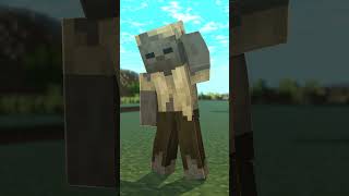 Trasform! | Minecraft Animation