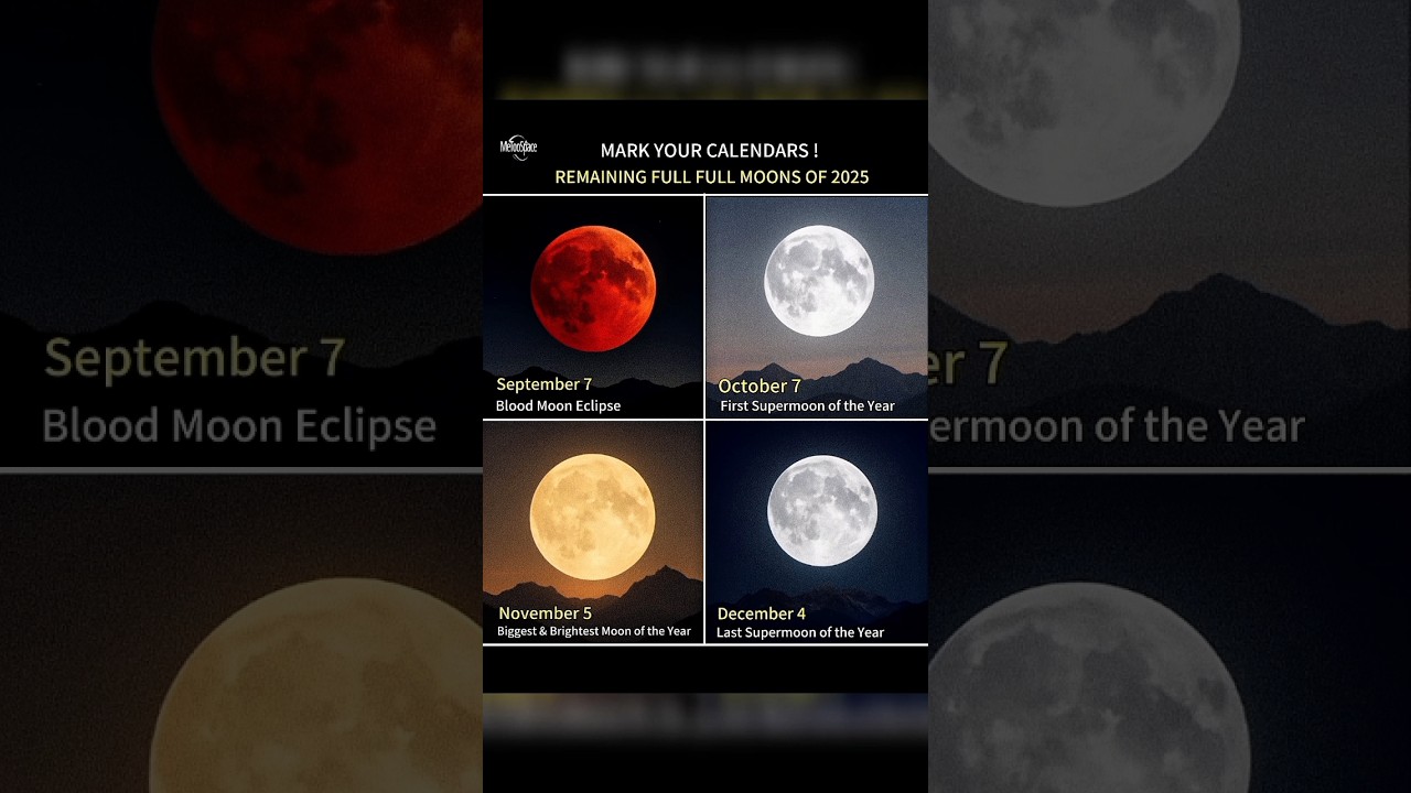 LUNAR HIGHLIGHTS 🌌🌕 