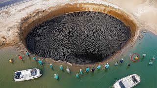 One in a Billion Moments in Nature Caught on Camera | Part 16