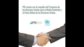 Principles for Responsible Investment (PRI)