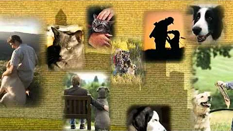 MN Pets Rebecca McComas KSTP Commercial - 15 Second