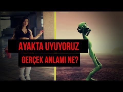 Yeşil Uzaylı Dansı Sözleri (Deşifre!) Türkçe Anlamı Ve Tüm Gerçekler
