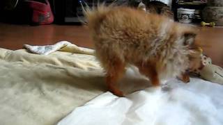 MVI_7147.AVI