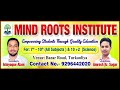 Mind Roots Institute |