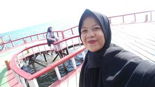 Wisata Hutan Mangrove Salubiro