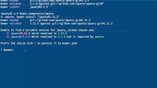 Celebrity 03 - Install a specific version of a package Net Worth