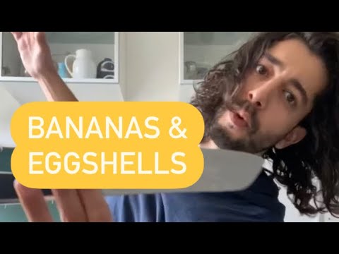Video: Vad är krav på banangödsel: Tips om att mata bananväxter