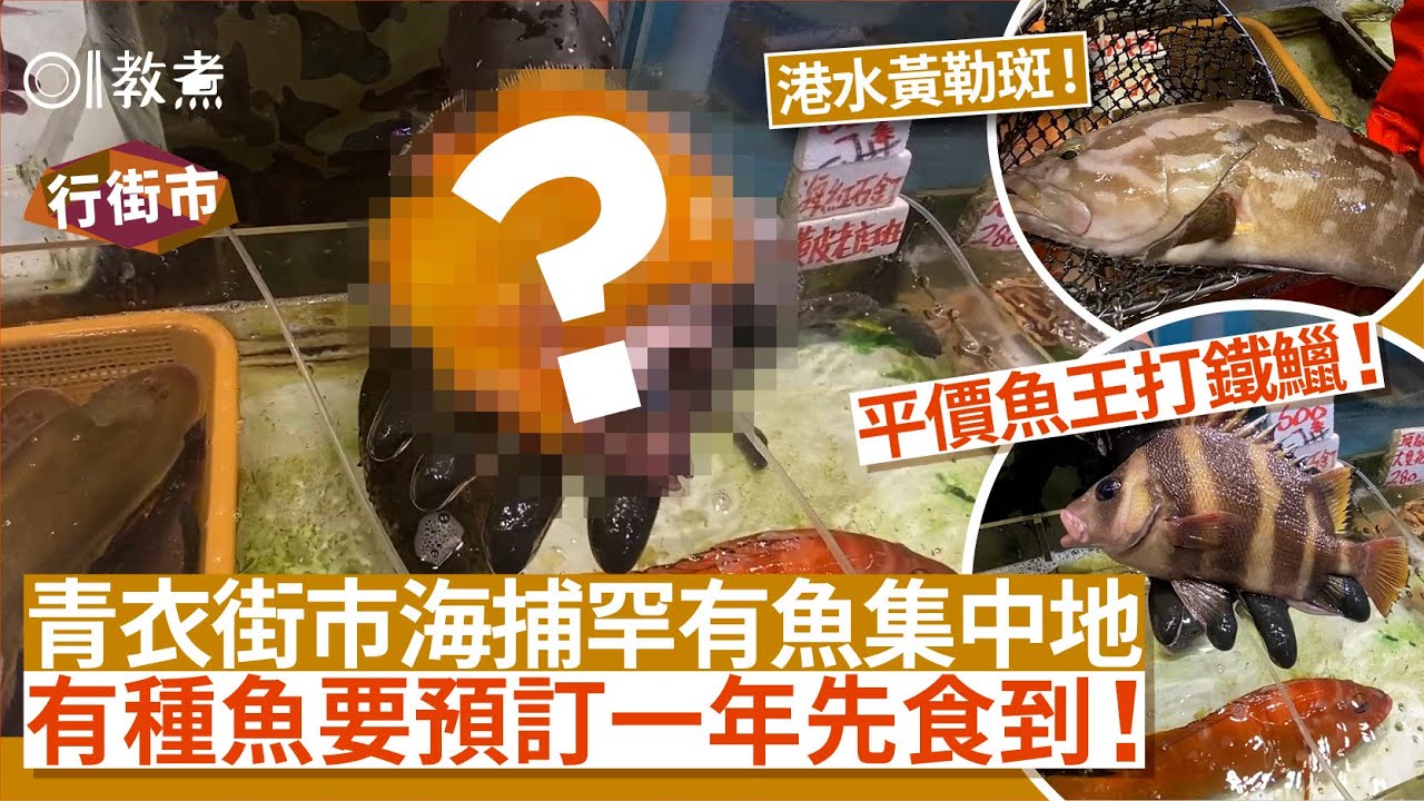 《行街市》青衣街市｜海鮮檔尋找罕有黃勒斑/打鐵鱲 1種魚要預訂1年？｜香港街市｜買餸攻略｜買菜攻略｜01教煮｜hk01