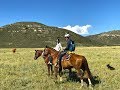 A Good ol' Wyoming Cattle Drive-Ryan and Ali Bike Across America-Ep 17