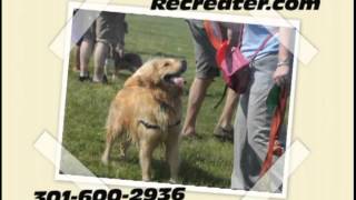 PSA: Bark in the Park 2013