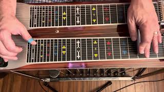 Designated Drinker Pedal Steel Lesson