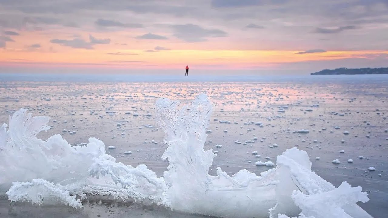 1102. 🎼. Abel Korzeniowski – «Table for Two»