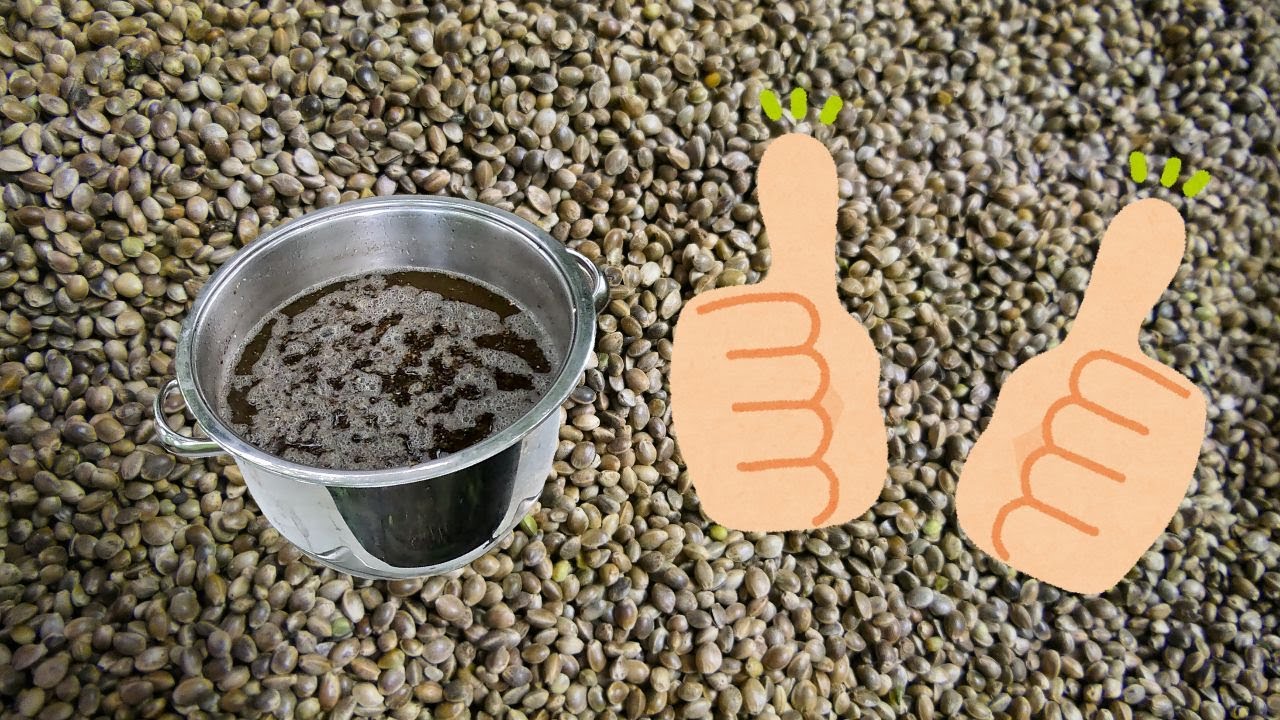 Futter Talk Partikel. Hanf! Zubereitung und Verwendung beim Angeln