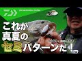 丸山智幸 これが真夏のセミパターンだ！｜Ultimate BASS by DAIWA Vol.256