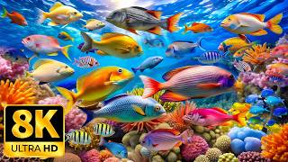 AQUARIUM 8K (UHD) 🐠 Beautiful Fish Swimming & Colorful Sea Life Video | Relaxing Music for Sleep#4 screenshot 3