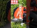【草刈り】山林用プロモデル!共立SRE2731P #農業 #草刈り #SummerOnShorts