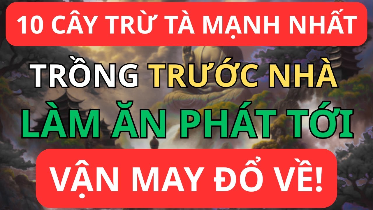 10 Cây Trừ Tà Mạnh Nhất – Trồng Trước Nhà Làm Ăn Phát Tới, Vận May Đổ Về!